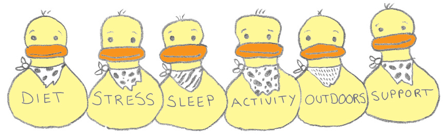 ducks color