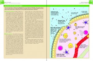 The Paleo Approach Preview Pages 58 and 59