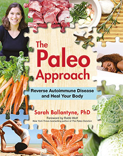 The Paleo Approach by Sarah Ballantyne