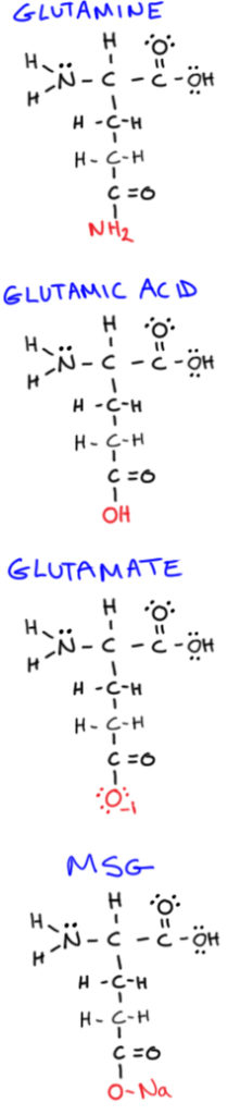 Molecular structure of glutamic acid, glutamine, glutamate