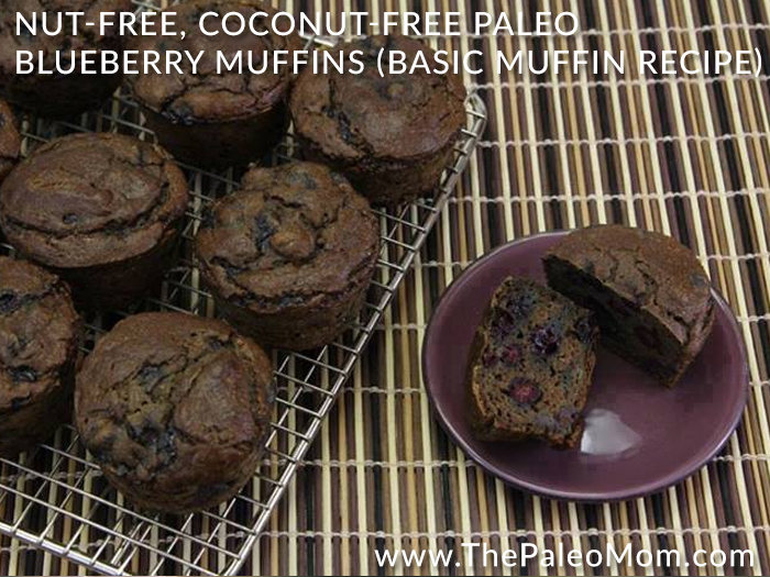 Nut-Free Coconut-Free Paleo Blueberry Muffins Basic Muffin Recipe