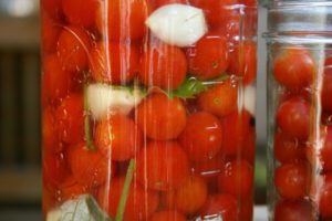 fermented tomatoes