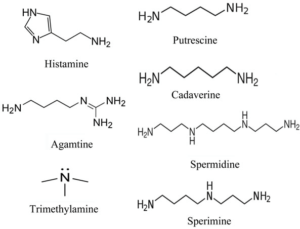 biogenic amines