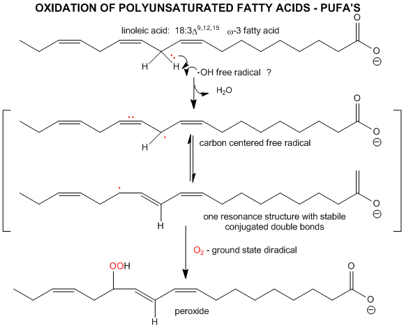 Oxidation of Polyunsaturated Fatty Acids