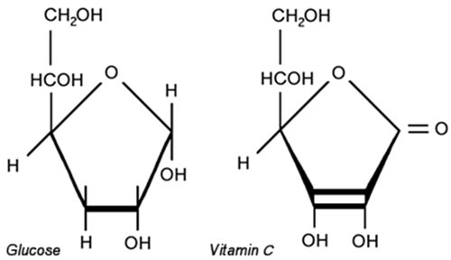 vitamin_c_glucose_similar_structure