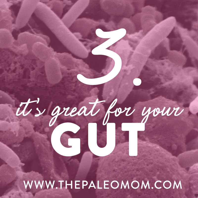 5-reasons-to-eat-more-fiber-gut-bacteria