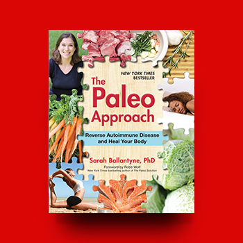 the paleo approach 