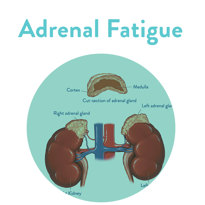 adrenal fatigue 
