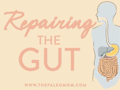 repairing the gut