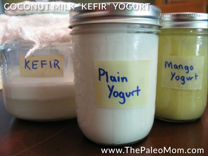 Whole Foods Coconut Milk Kefir Whole Foods Coconut Milk Kefir