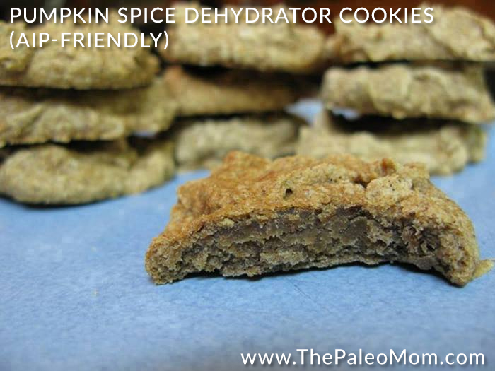 https://www.thepaleomom.com/wp-content/uploads/2012/05/Pumpkin-Spice-Dehydrator-Cookies-AIP-friendly.jpg