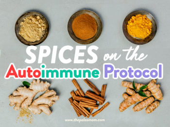 Spices on the Autoimmune Protocol