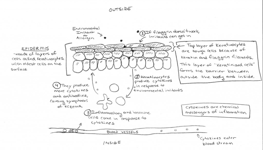 online image processing