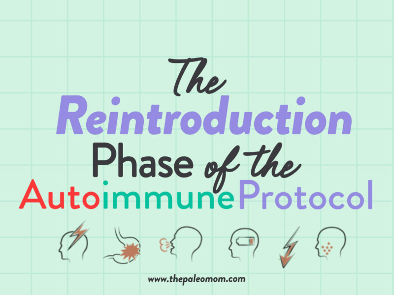 The Reintroduction Phase of the Autoimmune Protocol