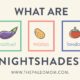 What are nightshades