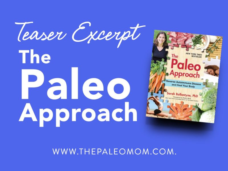Teaser Excerpt The Paleo Approach