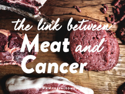 meat and cancer