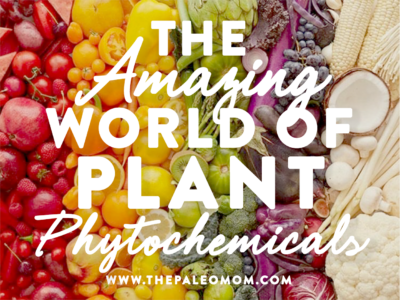 the-amazing-world-of-plant-phytochemicals