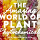 the-amazing-world-of-plant-phytochemicals
