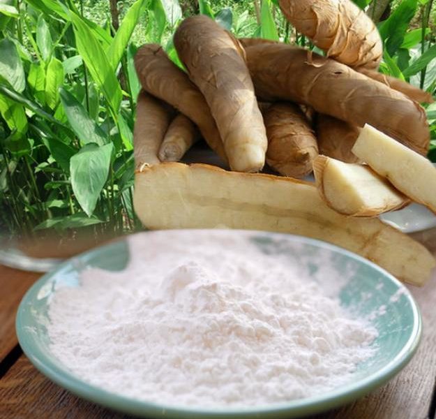 Arrowroot Powder ~ The Paleo Mom