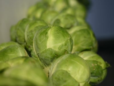 Brussels Sprouts