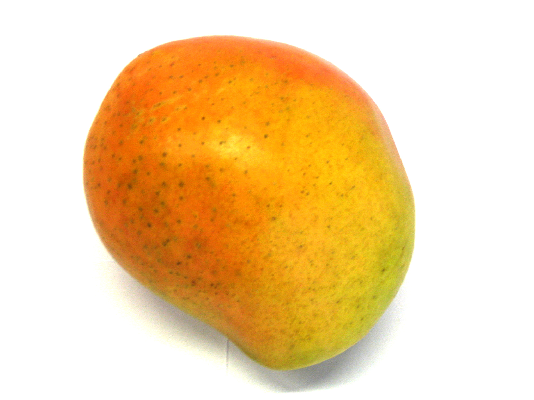 Mango ~ The Paleo Mom