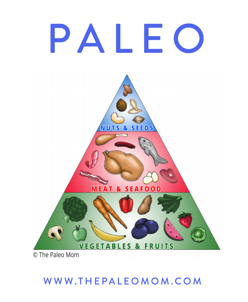 https://www.thepaleomom.com/wp-content/uploads/2016/08/Portion-Control-The-Weight-Loss-Magic-Bullet-Paleo.jpg