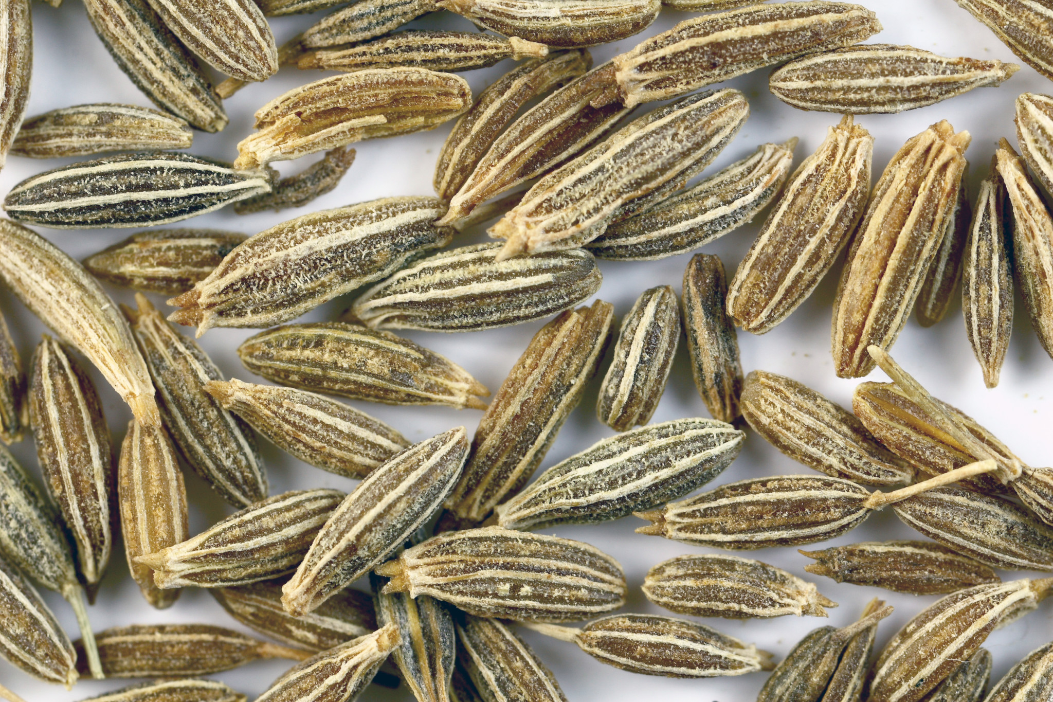 cumin-the-paleo-mom