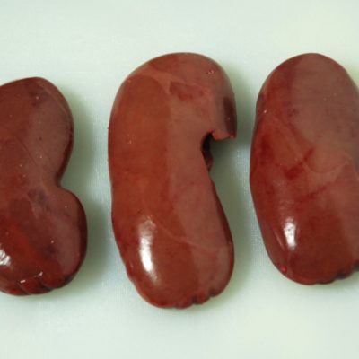 Kidney Meat