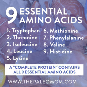 Plant-Based-Protein-What-is-its-Role-in-Paleo-9-Essential-Amino-Acids-The-Paleo-Mom