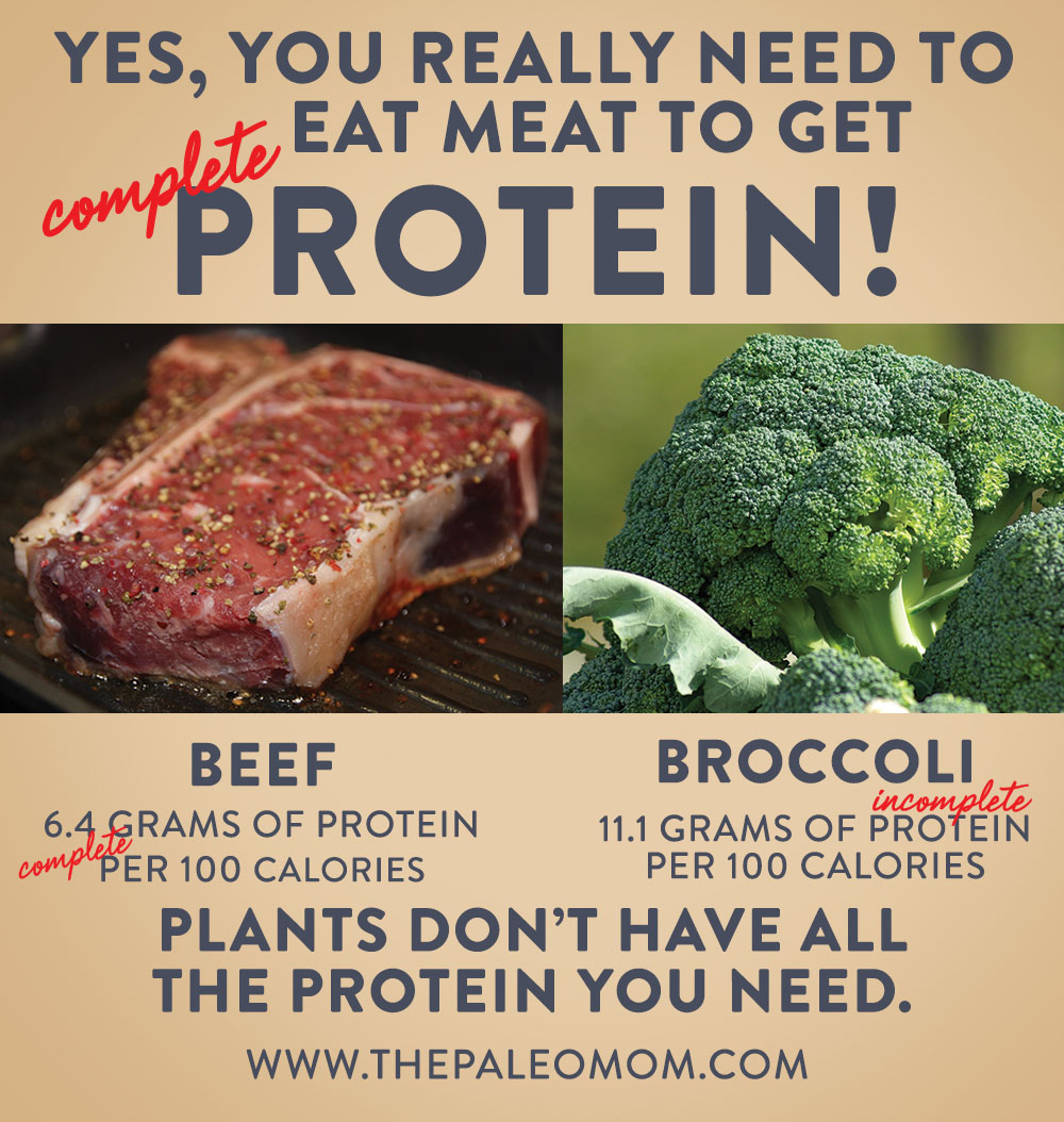Plant-Based Protein: What is its Role in the Paleo Diet? - The Paleo Mom