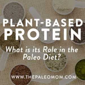 The-Paleo-Mom-Plant-Based-Protein-What-is-its-Role-in-the-Paleo-Diet-Protein-Powder