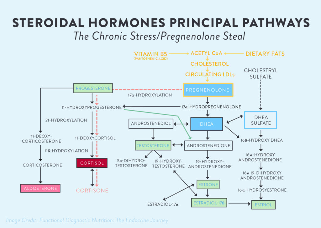 pregnenolone-steal-the-Paleo-mom-what-is-adrenal-fatigue-01