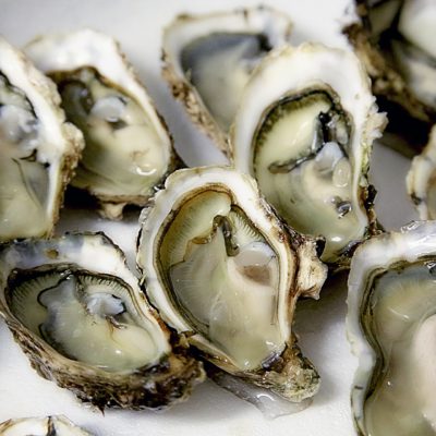 Zinc Oysters