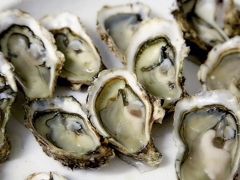 Zinc Oysters