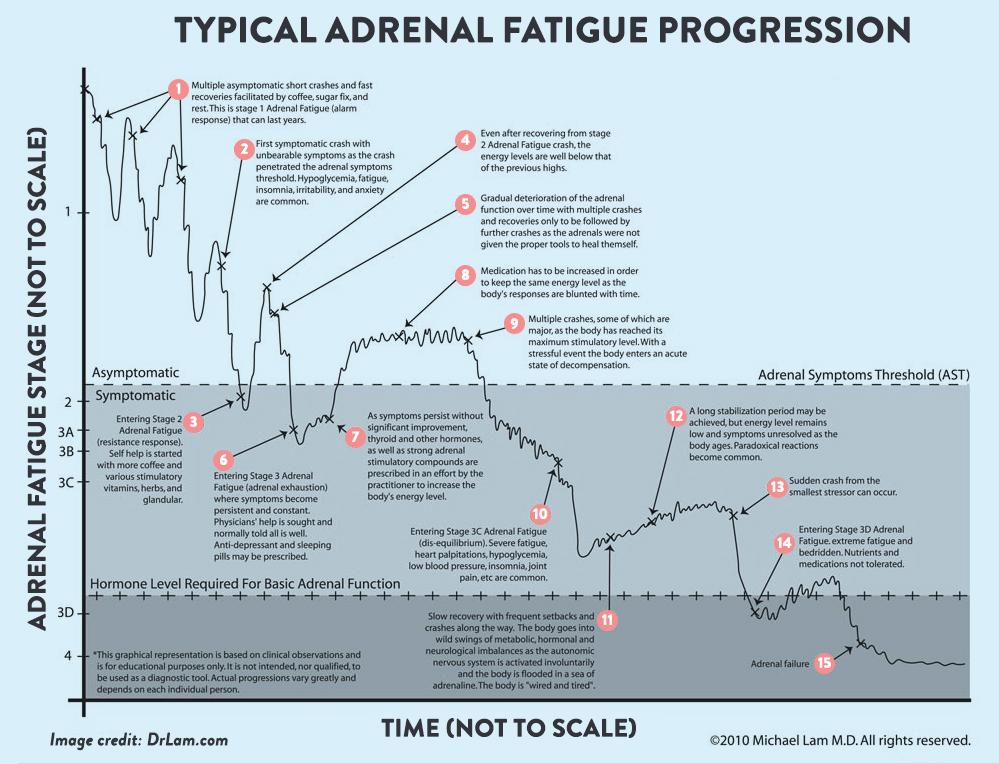 Symptoms of adrenal fatigue syndrome
