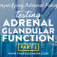 Demystifying Adrenal Fatigue Pt 2