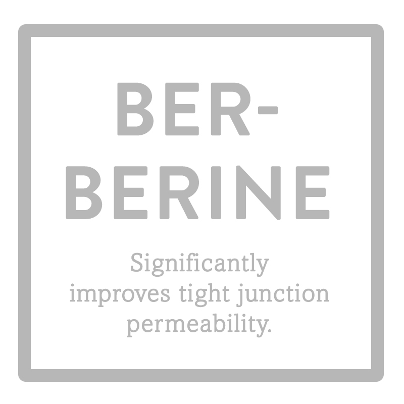 berberine 