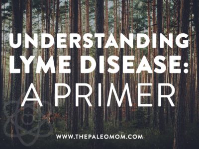 Understanding Lyme Disease a Primer