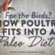 how poultry fits into a paleo diet