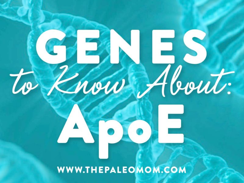 Genes to know about ApoE