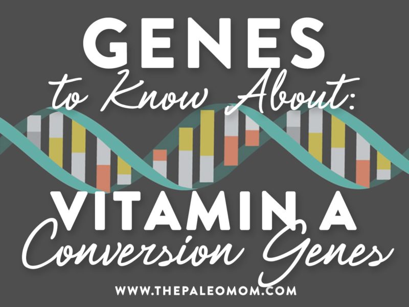 vitamin a conversion genes