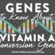 vitamin a conversion genes