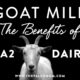image of goat and the benefits of A2 Dairy