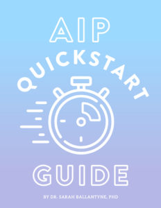 aip quickstart guide