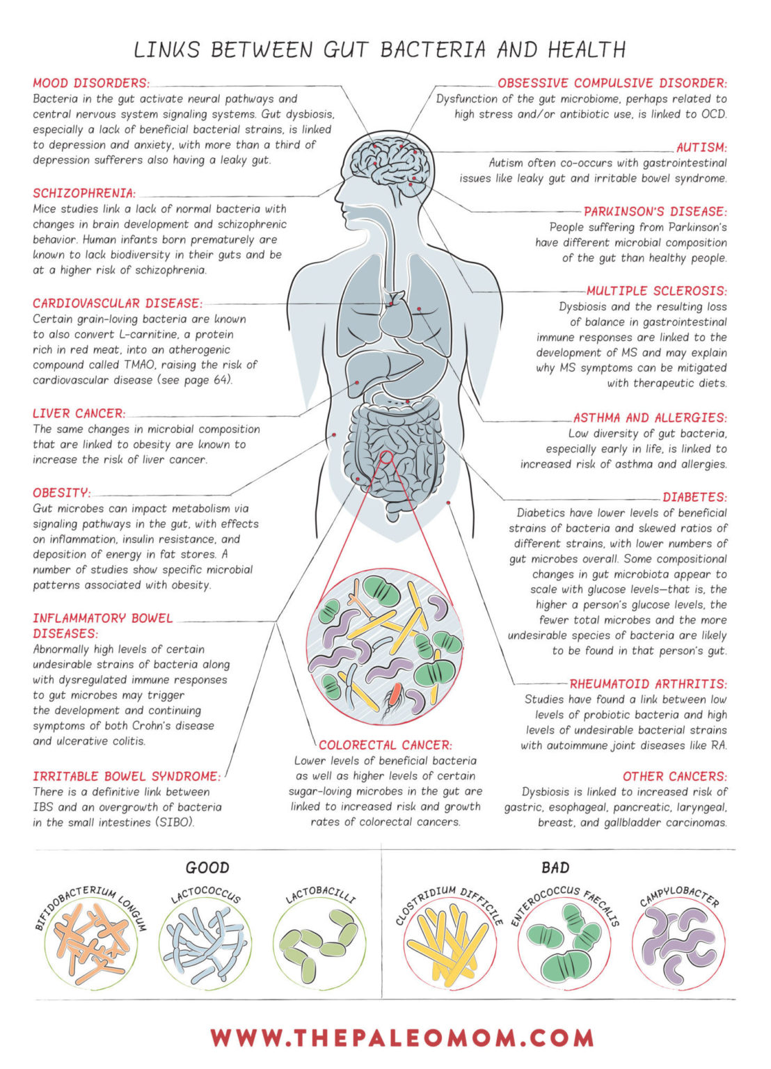 What Is The Gut Microbiome And Why Should We Care About It