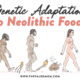 neolithic foods