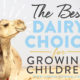 dairy choice