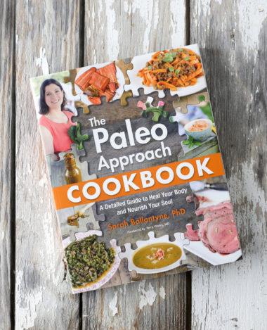 the paleo approach book