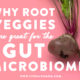 root veggies gut microbiome
